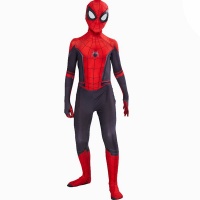 Kid's Spiderman Inspired Spandex Costume Photo