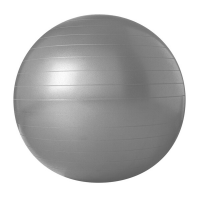Trojan Gym Body Ball Anti-Burst Fitness Ball 55cm - Grey Photo
