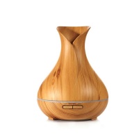 Dream Home DH - RGB Vase Shape Essential Oil Diffuser and Humidifier Photo
