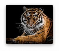 Awesome Tiger Themed Mouse Pad Photo