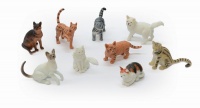 Assorted Cats in a Set - 9 pieces Photo