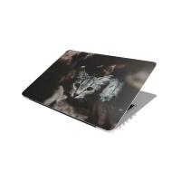 Laptop Skin/Sticker - Big Eyed Kitten Photo