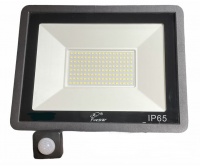 100W LED Motion Sensor Floodlight Photo