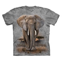 Kool Africa - Elephant - T-Shirt with plantable seed swing tag Photo