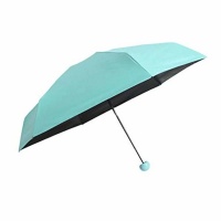Mini Capsule Umbrella Photo
