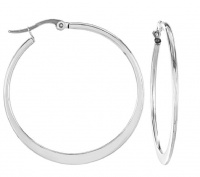 Stainless Steel Hoop Earrings - Clip Photo