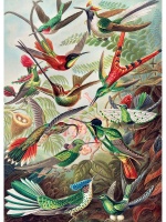 The Puzzle Monkey - "Hummingbird Heaven" 1000 Piece Jigsaw Puzzle Photo