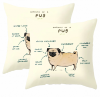 PepperSt Scatter Cushion Cover Set | The anatomy of a Pug Photo