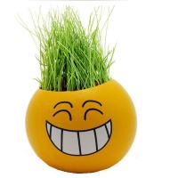 Growing Grass Head - Smiley Edition - Random Smiley Photo