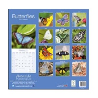 CHEF HOME Butterflies 2021 Wall Calendar - Insects Photo