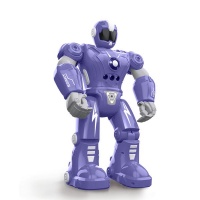 Dream Home DH - RC Intelligent I/R Infrared Ray Robot Toy Photo
