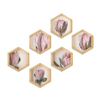 Pine Boxed Canvas Hexagonal 6 piecese collage Pink Protea Photo