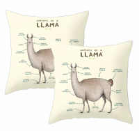 PepperSt Scatter Cushion Cover Set | The anatomy of a Llama Photo