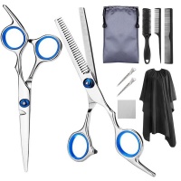 Hairdressing Scissors Kit Professional 10 Piece Photo