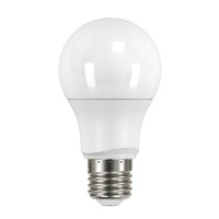 Zebbies Lighting - Globe - LED 8W Dim E27 CW Photo
