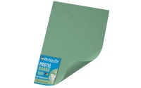 Butterfly A3 Pastel Board - Pack Of 100 Green Photo