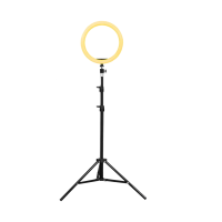 10" Ring Light With Tripod Stand Photo