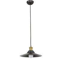 Zebbies Lighting - Nolo - Aged Steel and Copper Finish Pendant Photo