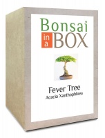 Bonsai in a box - Fever Tree Photo