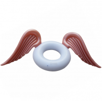 Golden Wing Swimming Ring Photo