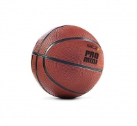 Sklz Pro Mini Basketball 12cm Diameter Photo