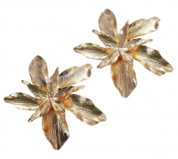 Royalty Collections Leaf Patterned Earring Photo