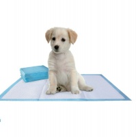 Bulk Pack 8 x Puppy Dog Disposable Training Pads Photo