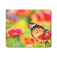Mouse Pad - Butterfly On Red Flower Photo
