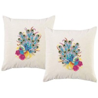 PepperSt - Scatter Cushion Cover Set - Abstract Peacock Photo