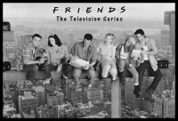 Friends - On Girder Poster with Black Frame Photo