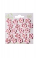Bloom Sweetheart Blossoms - Baby Pink Photo
