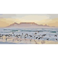 Iconix Painting By Numbers for Adults |Table Mountain Morning Glory Photo