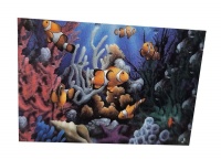 Diamond Dot Art painting - 30x30 - Clown Fishes Photo