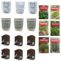 Basil Chives Parsley Coriander Rosemary and Thyme seeds Herb grow kit Photo