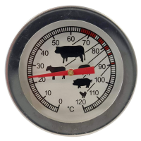 Lifespace Probe BBQ Meat Thermometer Photo