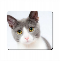 Mouse Pad - Pink Nose Kitty Photo