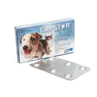 Elanco Capstar - Flea Treatment For Cats & Dogs 0.5KG - 11kg Photo