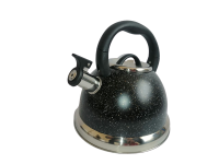 Condere Home Whistling Kettle Photo