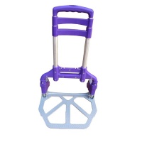 SoSolar Foldable Trolley - Purple Photo