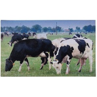 Esschert - Doormat Cows Grazing Photo