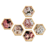 Pine Boxed Canvas Hexagonal 6 piecese collage Pink Peonie Florals Photo