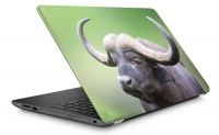 Laptop Skin Buffalo Photo