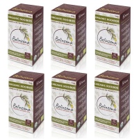 Belinzona - Organic Rooibos Tea - 6 boxes Photo