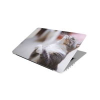 Laptop Skin/Sticker - Cat Begging Photo