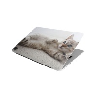 Laptop Skin/Sticker - Cute Blue Eyed Cat Photo
