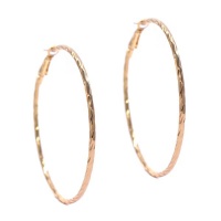 Lily & Rose 60mm Textured Twist Hoop Earring Photo