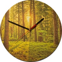 unXusa Clocks UnXusa - Canvas on MDF Wall Clock - Enchanted Forest Photo