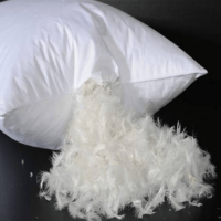 Relax Collection Feather Pillow by Photo