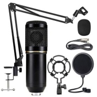DW M800 Condenser Microphone for PC Computer Streams Recording Photo