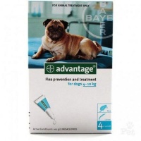 Advantage Medium Dogs 4x1ml Turquoise Photo